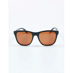 Очки поляризационные Extreme Fishing PSS-172, цвет оправы Блестящий черный, цвет линз Коричневый