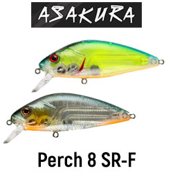 Asakura Perch 8 SR-F