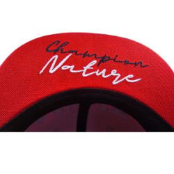 Кепка Jig It Snapback Champion Nature Black-Red