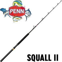 Penn Squall II