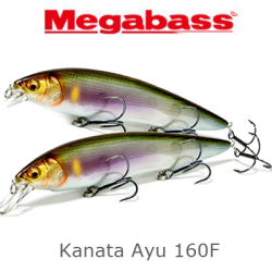 Megabass Kanata 160F 