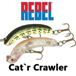 Rebel Cat`r Crawler