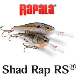 Rapala Shad Rap RS SRR04