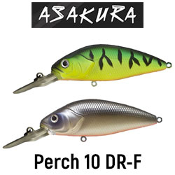 Asakura Perch 10 DR-F