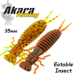 Akara Eatable Insect 35