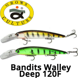 Grows Culture Bandits Walleye Deep 120