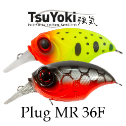 TsuYoki Plug MR 36F