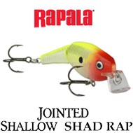 Rapala Jointed Shallow Shad Rap