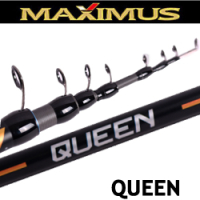 Maximus Queen Bolognese