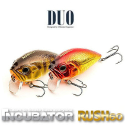 DUO Incubator Rush 60