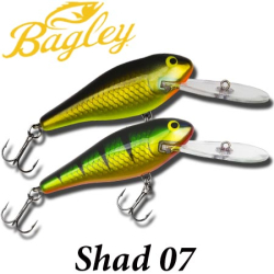 Bagley Deep Diving Shad 07