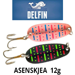 Delfin Åsenskjea 12g