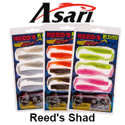 Asari Reed's Shad