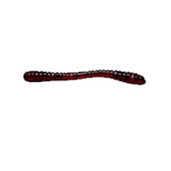 Мягкая приманка Wonder Killer Bait Worm-A 11,0 см цв. 038