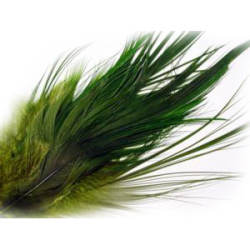 Ken Sawada Grey Heron Hackles 6 pieces Green  (Medium/Large)  