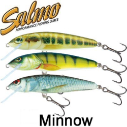 Salmo Minnow