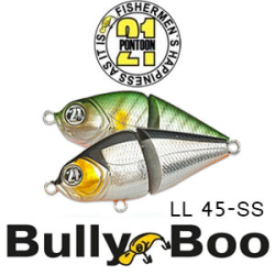 Pontoon21 BullyBoo LL 45-SS 