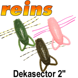 Reins Dekasector 2"