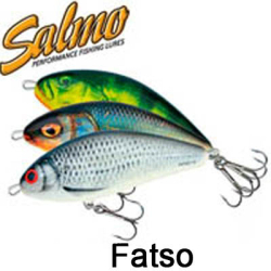 Salmo Fatso