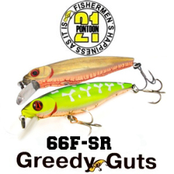 Pontoon21 Greedy Guts 66F-SR