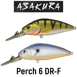 Asakura Perch 6 DR-F