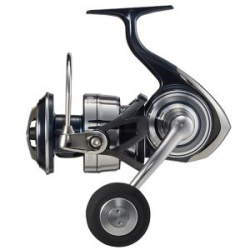 Катушка Daiwa 21 Certate SW 10000-P