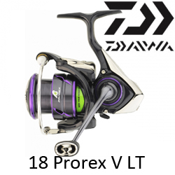 Daiwa 18 Prorex V LT