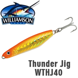 Williamson Thunder Jig 110мм 40гр. WTHJ40