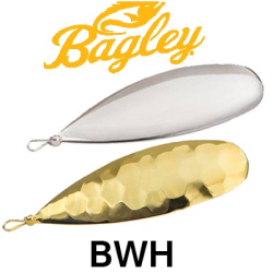 Bagley BWH