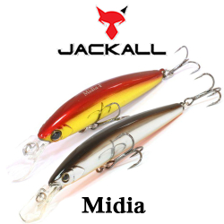 Jackall Midia