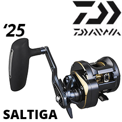 Daiwa 25 Saltiga