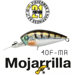 Pontoon21 Mojarrilla 40F-MR 