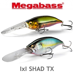 Megabass IxI Shad TX