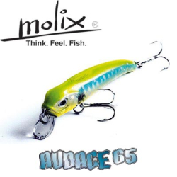 Molix Audace  