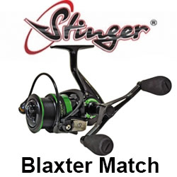 Stinger Blaxter Match