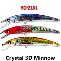 Yo-Zuri Crystal 3D Minnow 110F F977