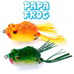 Papa Frog Bubble