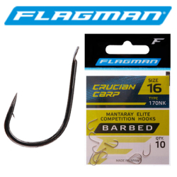 Flagman Crucian Carp