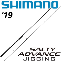 Shimano 19 Salty Advance Jiging