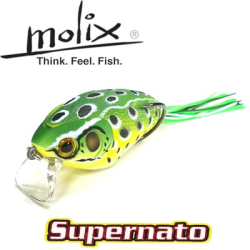 Molix Supernato