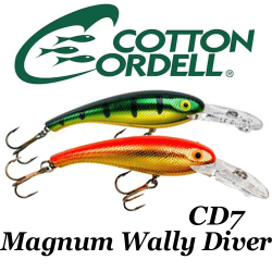 Cotton Cordell Magnum Wally Diver CD7