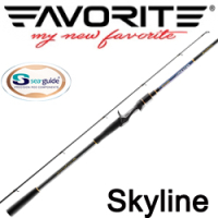 Favorite Skyline SKYC