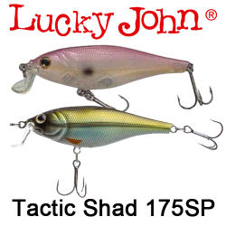 Lucky John Tactic Shad 175SP