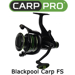 Carp Pro Blackpool Carp FS