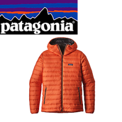 Patagonia M's Down Sweater Hoody HTE