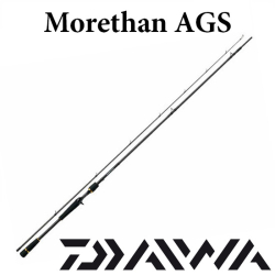 Daiwa Morethan AGS