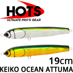 Hots Keiko Ocean Attuma 19cm F 70g