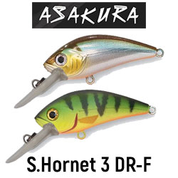 Asakura S.Hornet 3 DR-F