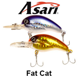 Asari Fat Cat 55mm