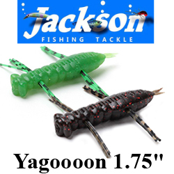 Jackson Yagoooon 1,75"